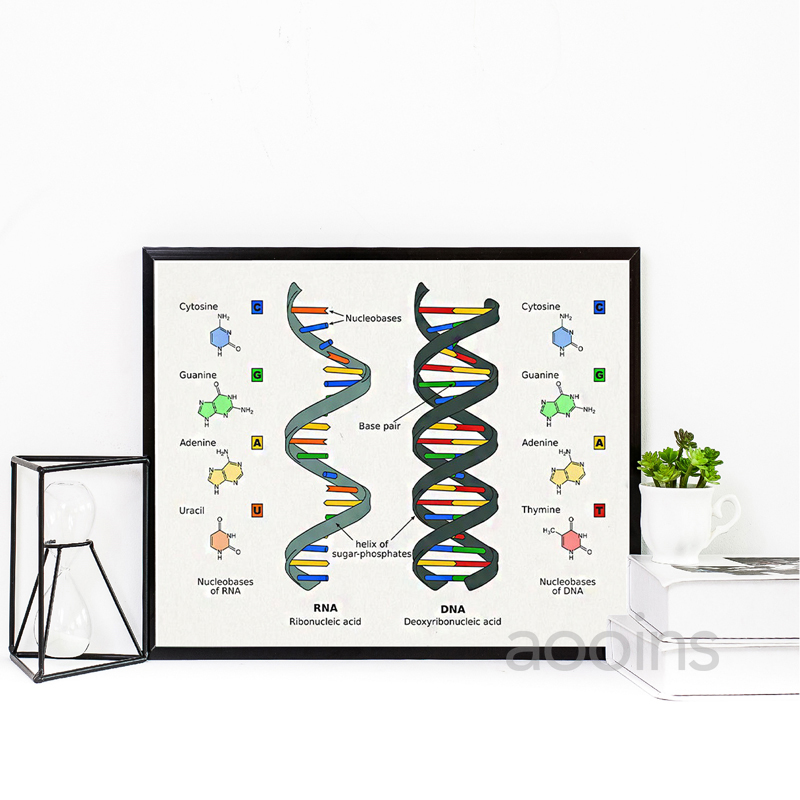 DNA Patent Wall Art Genetics P - огляд і ціна Star Map Poster